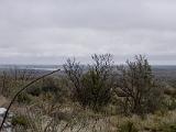 Living Desert State Park  Carlsbad Overlook : New Mexico